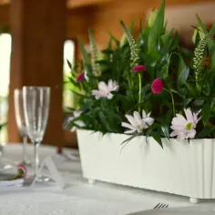 Jakie kwiaty na chrzest na stół? Eleganckie i wyjątkowe propozycje